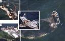 menhaden_boats1.jpg