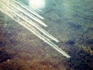 us-is-finally-cleaning-up-agent-orange-sprayed-on-vietnam-during-the-war